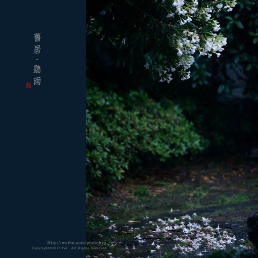 来自摄影师非与非的相片册子的诗情画意唯美意境的摄影作品,屋檐,细雨