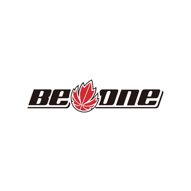 canada basketball公司logo