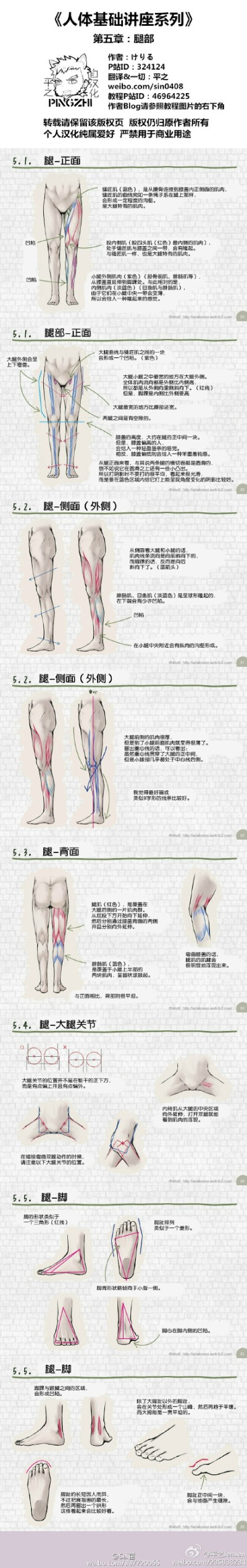 详解了在画人体每个部位的时很容易遗漏与画错的小细节!转需学习