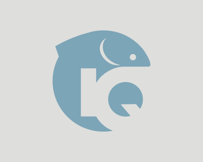 鱼的图形标志设计logo设计