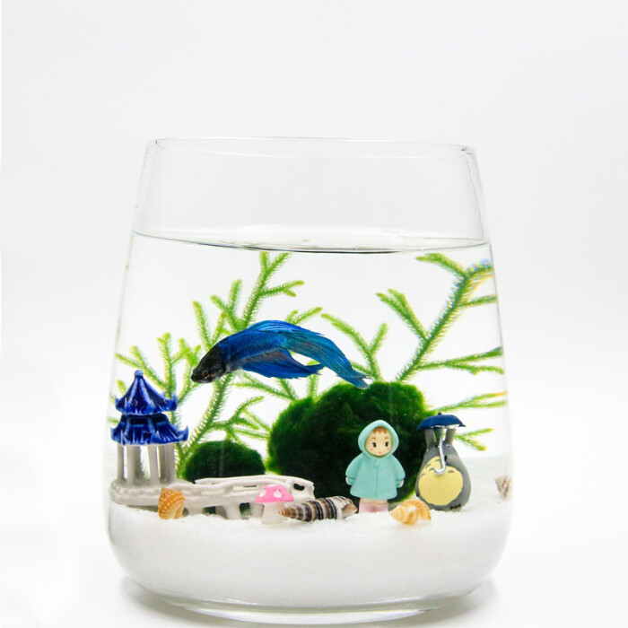 创意迷你水族缸玻璃办公室泰国金鱼斗鱼鱼缸热