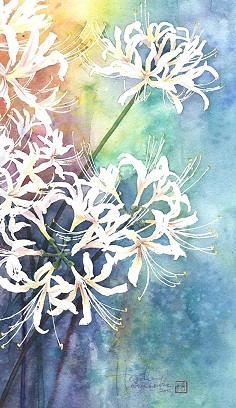 彼岸花开开彼岸,奈何桥前可奈何?有花不…