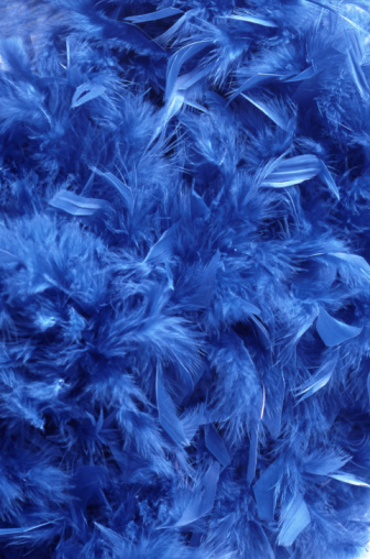 背景,摄影,式样,羽毛,蓝色_71040.
