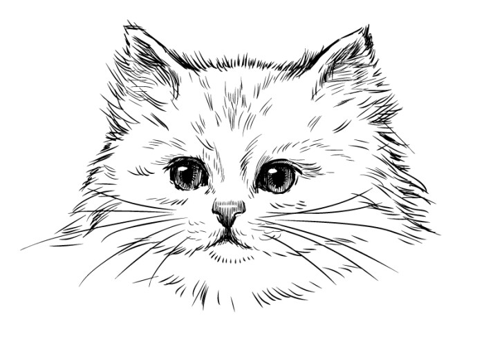 手绘白色波斯猫矢量素材,素材格式:eps,素材关键词:猫,手绘,波斯猫