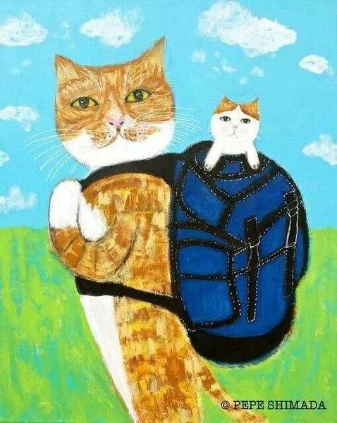 pepe shimada 猫咪系列插画