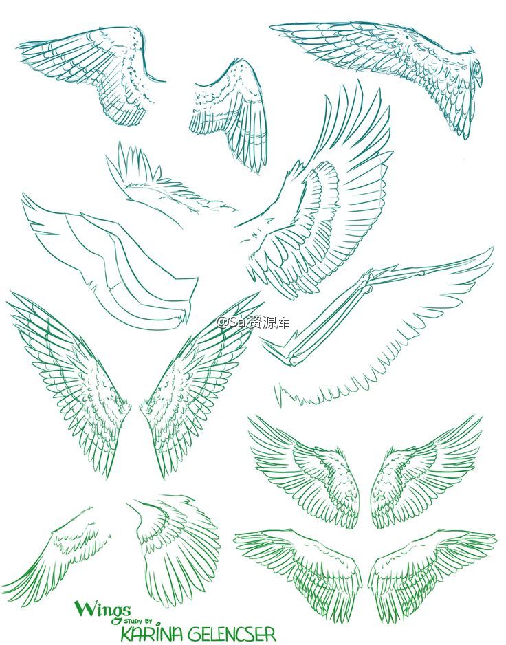 翅膀样式参考,包含天使的翅膀和鸟的翅膀,绘画参考,动漫翅膀画的比较