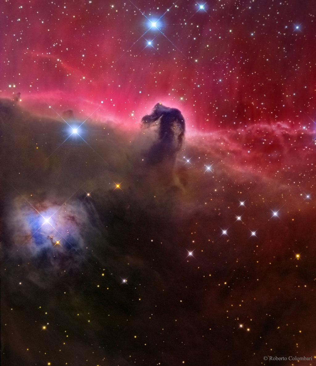 华丽的马头星云,是猎户座分子云团的一部分,距离我们约1500光年.