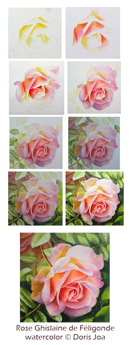 (2) how to paint roses   watercolor ro