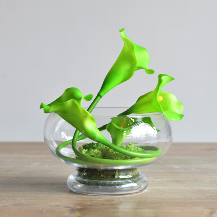 现代 艺术插花玻璃花瓶 绿色马蹄莲 创意插花飘窗-善木良品
