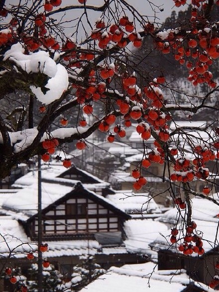 春有百花秋有月,夏有凉风冬有雪.美爆了!