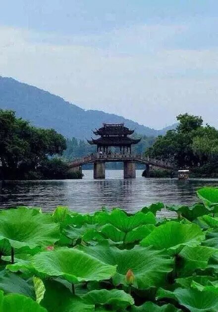 【古风图片】【风景欣赏】 下载次数,图片,西湖,风景 古风图片 135412