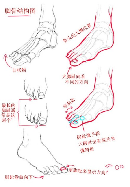 sai资源库 动漫脚部的绘制教程amp;参考!