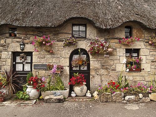 thatched cottage