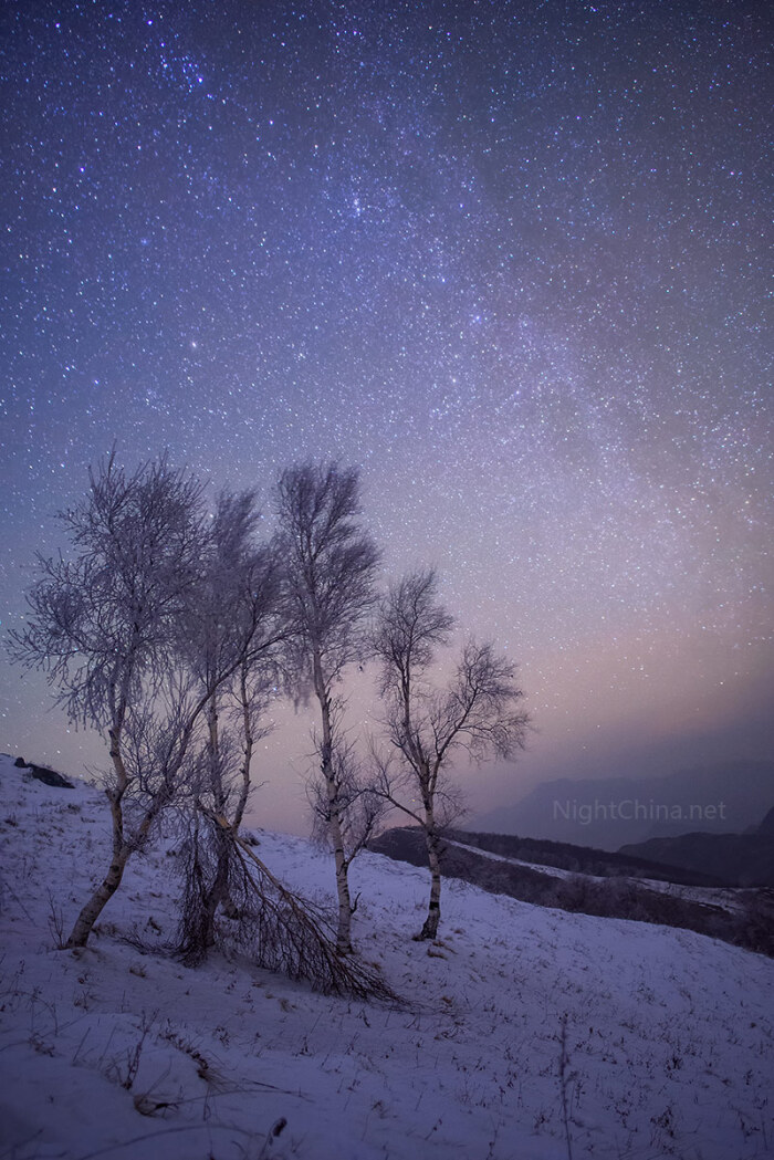 雪山,银河与树.雪后的灵山诞生了这梦幻组合.