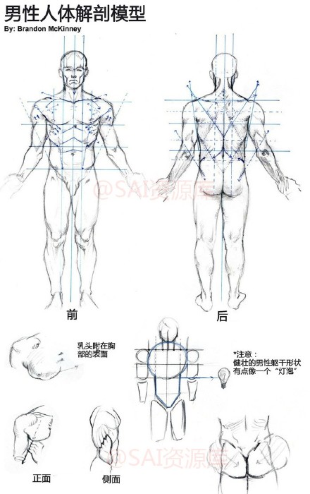 动漫人物的全面绘画参考,五官(脸部,眼睛,鼻子和耳朵),人体比例,手臂