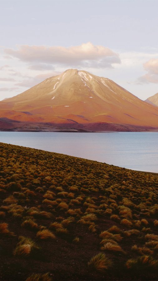 花田火山风景手机壁纸