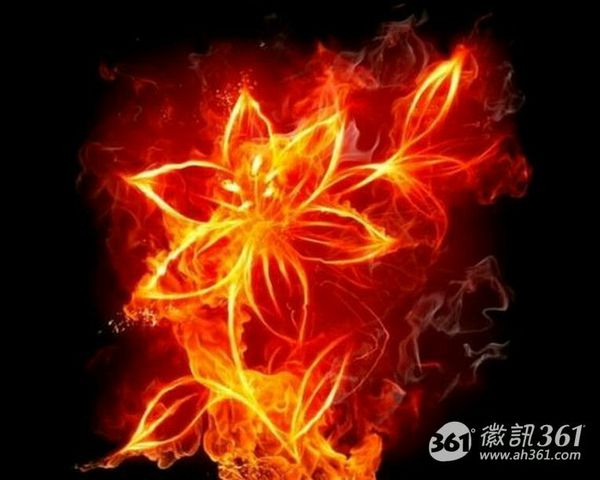 火焰所开出的花 fff团 唯美 二次元 魔法 红色