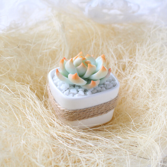 田园小清新仿生纯手工软陶多肉永生花办公室…