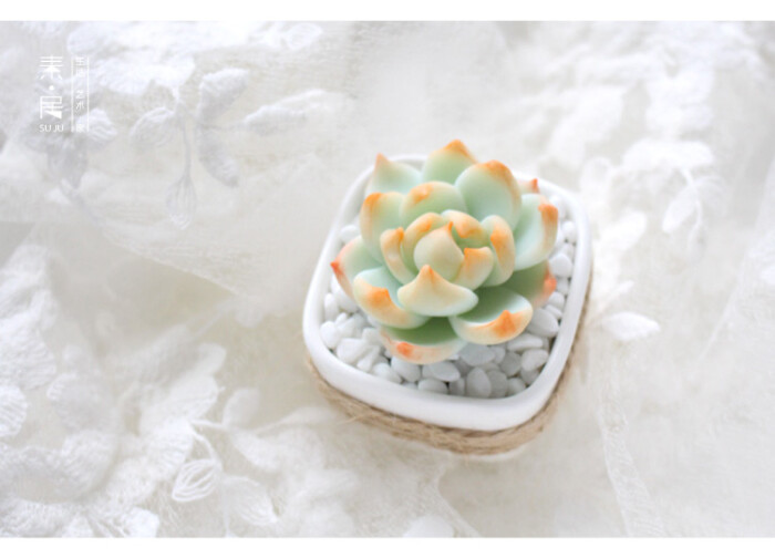 田园小清新仿生纯手工软陶多肉永生花办公室书