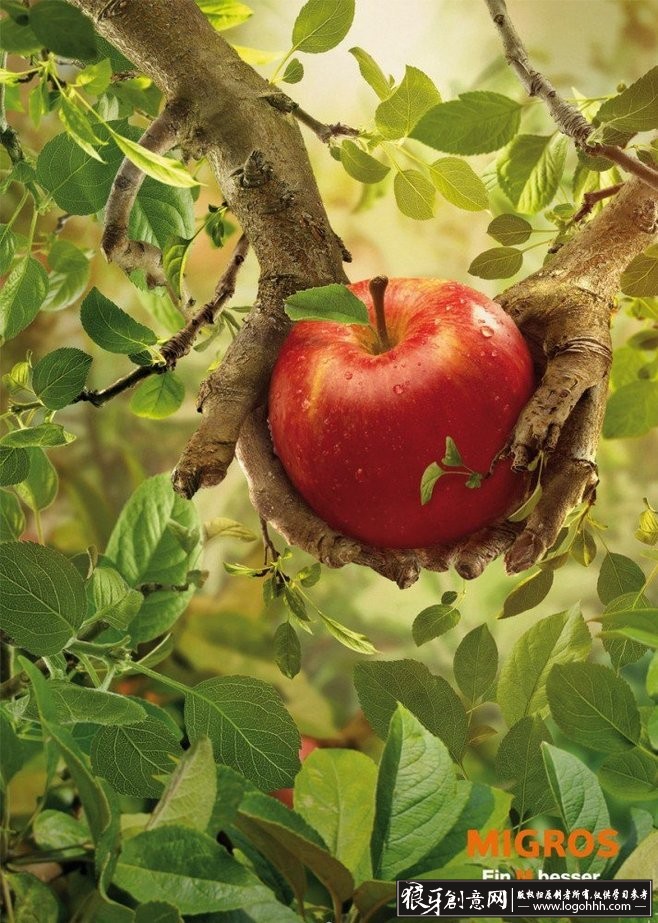海报灵感 创意苹果广告 合成苹果海报 创意大树手 树枝 树叶 红苹果