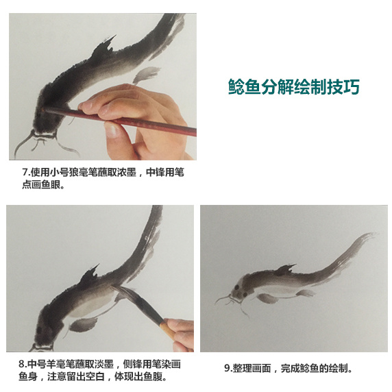 【国画技法】鲶鱼的画法.@学畵