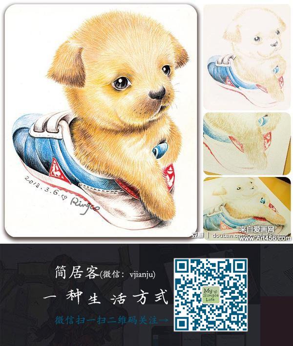 彩铅——可爱的小动物们 -插画艺术-爱画网