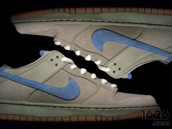 nike sb dunk low iron