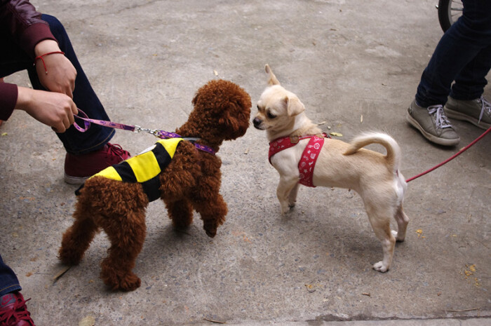 20111110000019_Sn2kZ.thumb.700_0.jpg