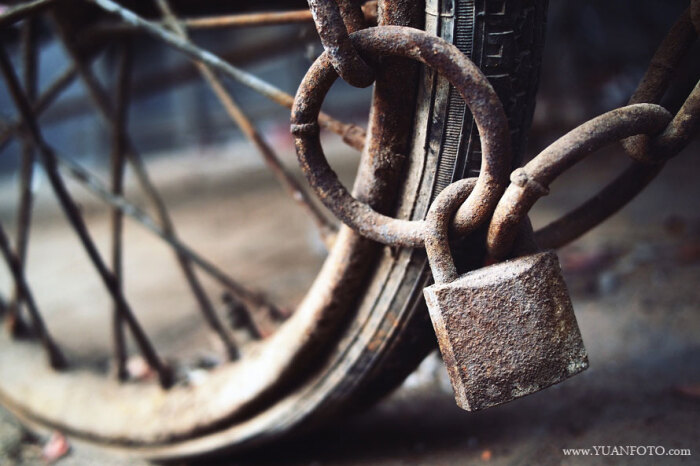 生锈的铁锁,干瘪的轮胎,无人问津的角落.