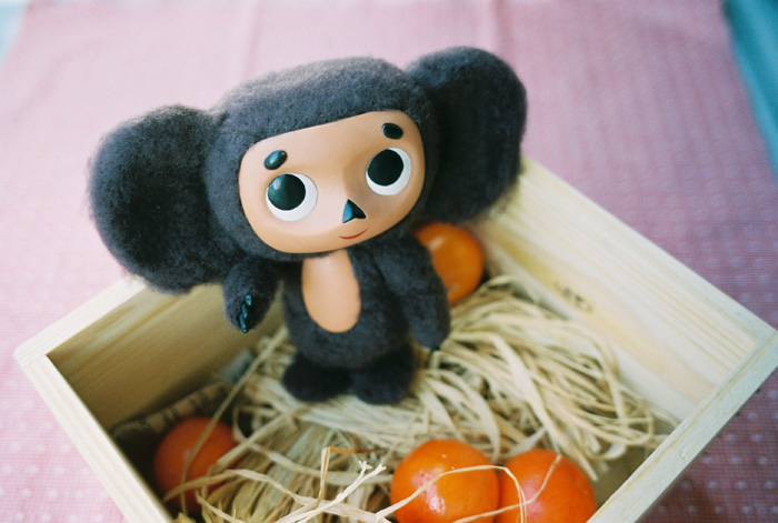 日本杂货 俄罗斯大耳猴 cheburashka チェブラーシカ 木箱版