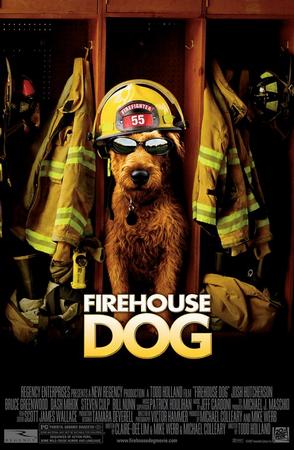 《消防犬》,喜欢宠物片的看看这个还蛮有意思的