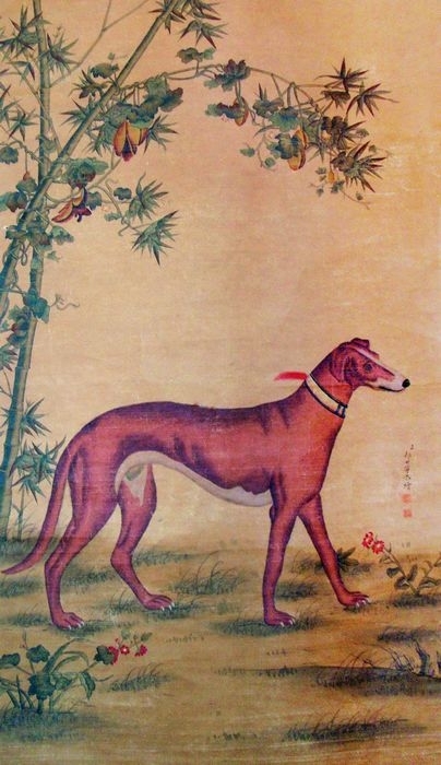 竹荫西犬图 郎世宁 清