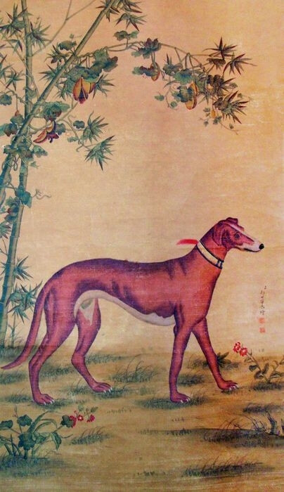 竹荫西犬图郎世宁清