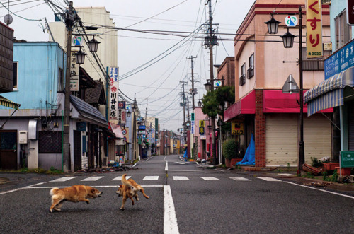 日本,街.