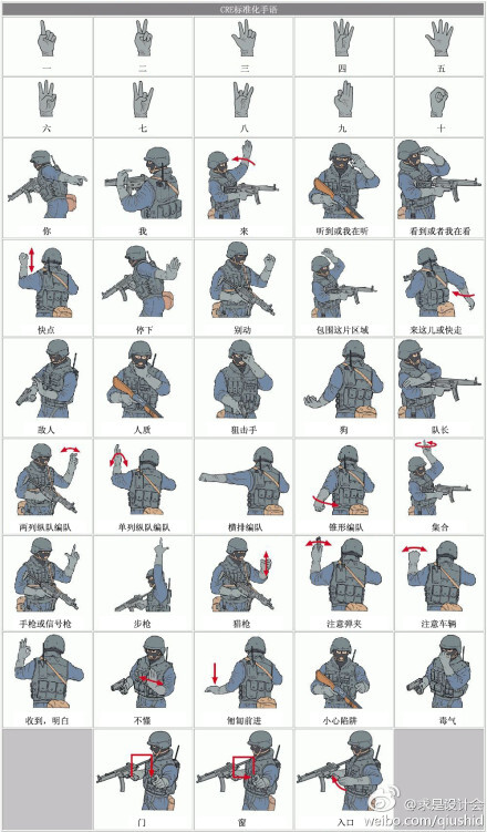 特种兵的swat 手语【中文版】,学会了吗?