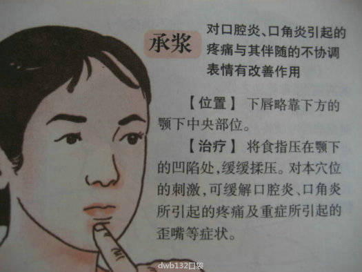 承浆的准确位置图 堆糖网