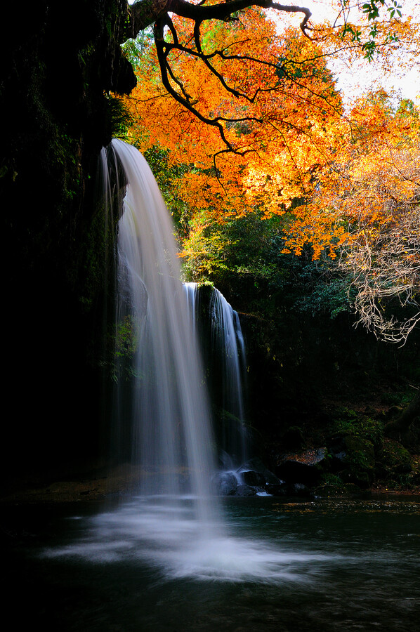 "autumn falls"