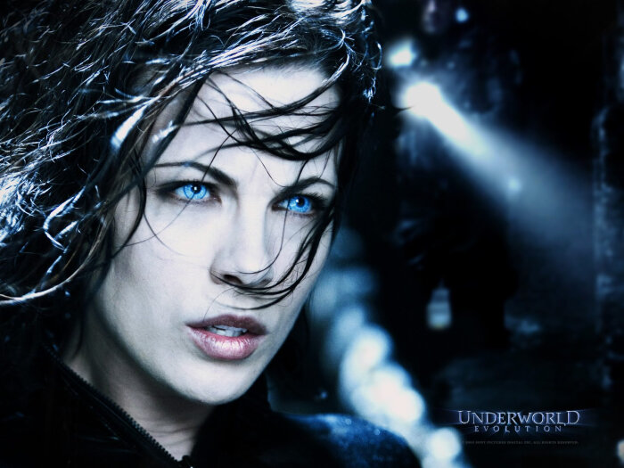 2012 【电影】:《黑夜传说 4 / underworld: awakening 4 》;【上映