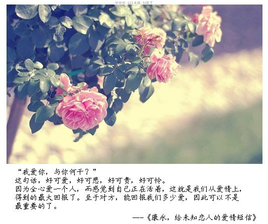 因为全心爱一个人,而感觉到自己正在活着,这就是我们从爱情上,得到的