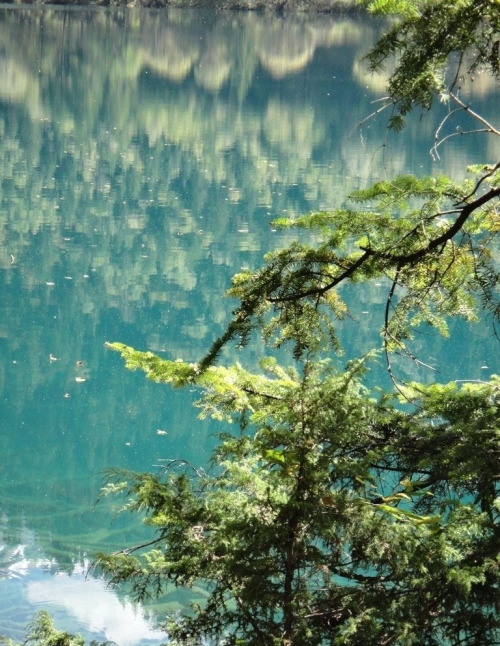 九寨沟.很自然地让人感到神清气爽.这样的美景,凡尘俗念只是愚昧.