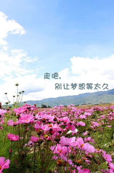 走吧,别让梦想等太久