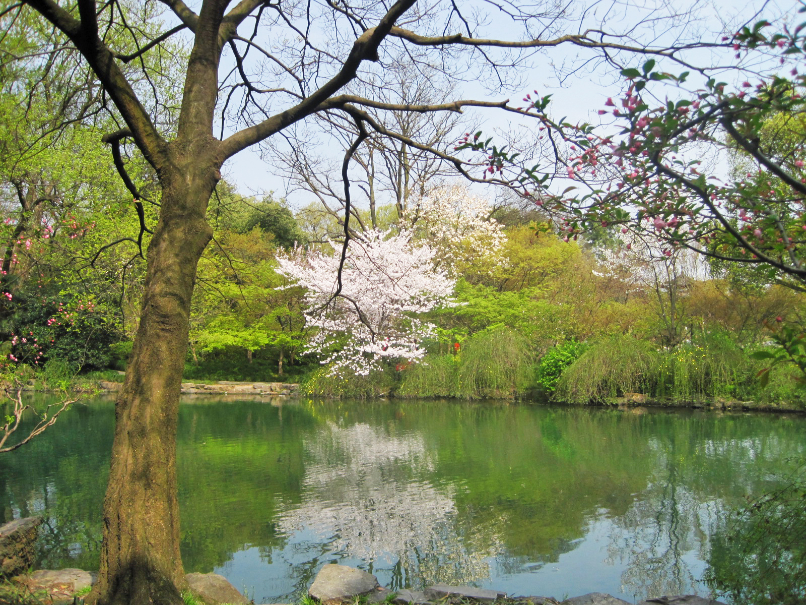 杭州西湖太子湾公园