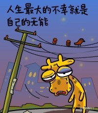 人生最大的不幸就是自己的无能.