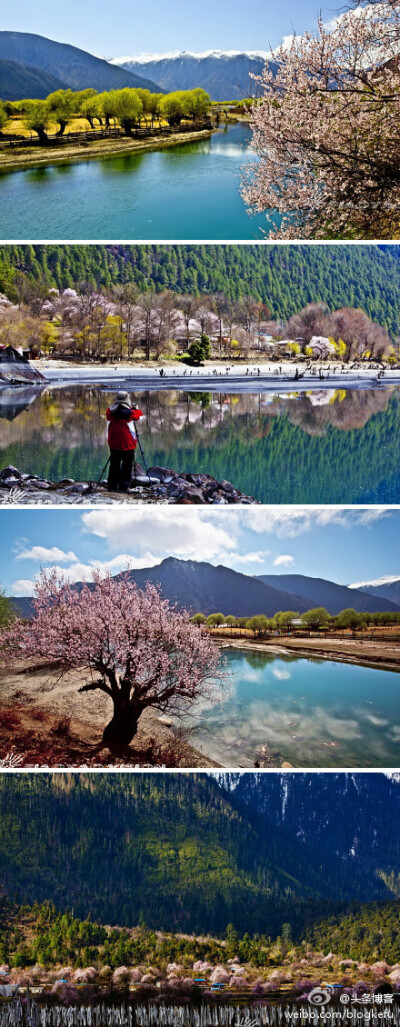 旅游-堆糖,美好生活研究所