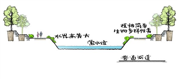 生态型景观河道断面形式示意