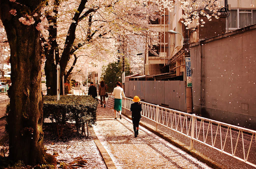 旅行时路过的风景,温めの春そっとなでる开く人々の_纯粋な色.