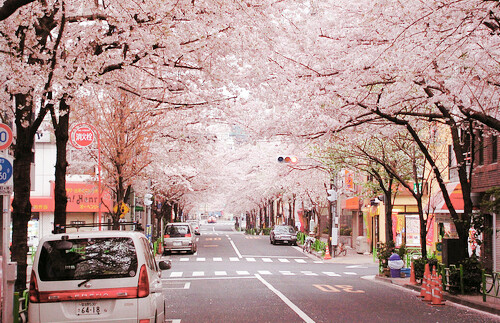 旅行时路过的风景,日本街道.