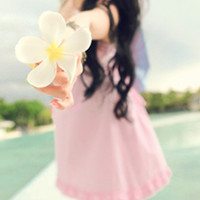 送你一朵花