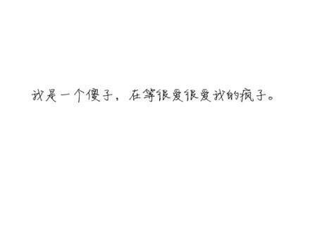 我是一个傻子