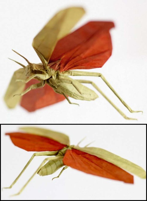 sipho mabona的昆虫折纸